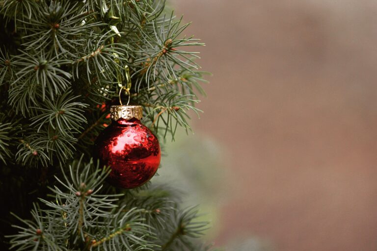 Weihnachtstradition: Baumbesitzer gesucht, um die Stadt festlich zu schmücken!