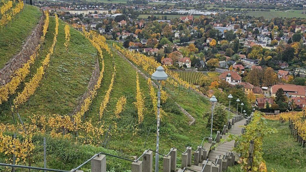 Hoflößnitzer Weinwanderung