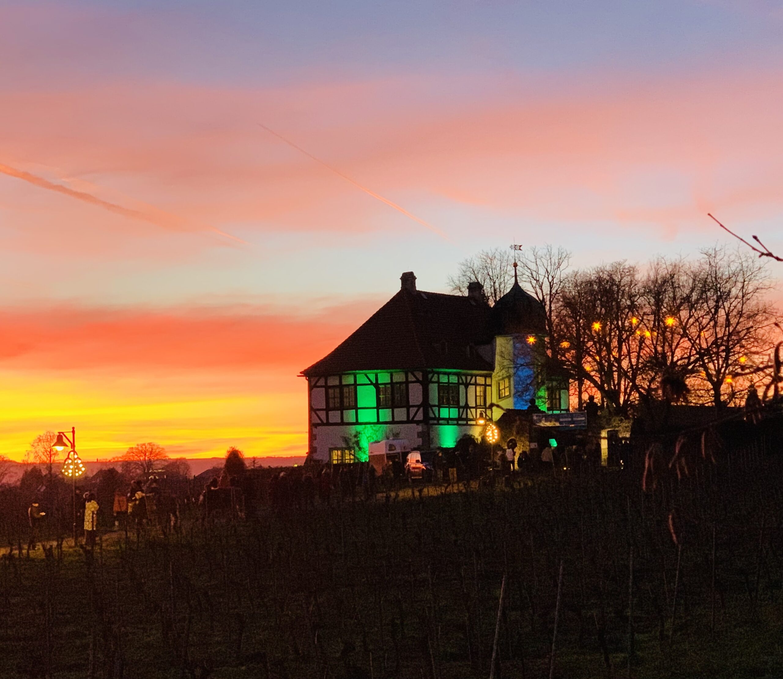 Foto © Weingut Hoflößnitz