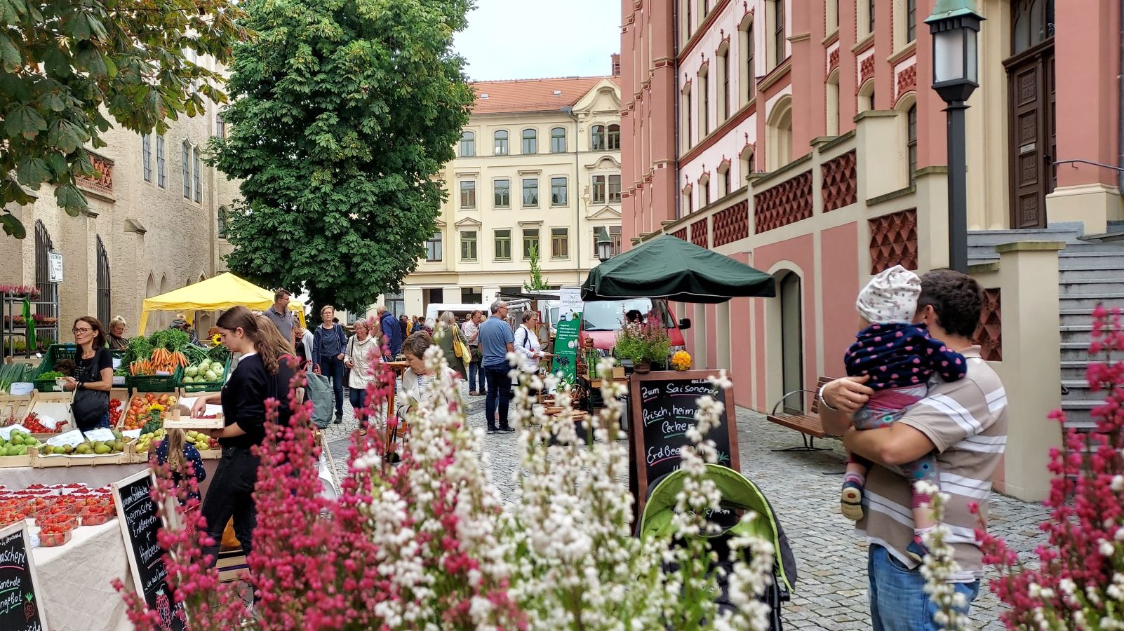 Foto © Pressestelle der Stadt Meißen