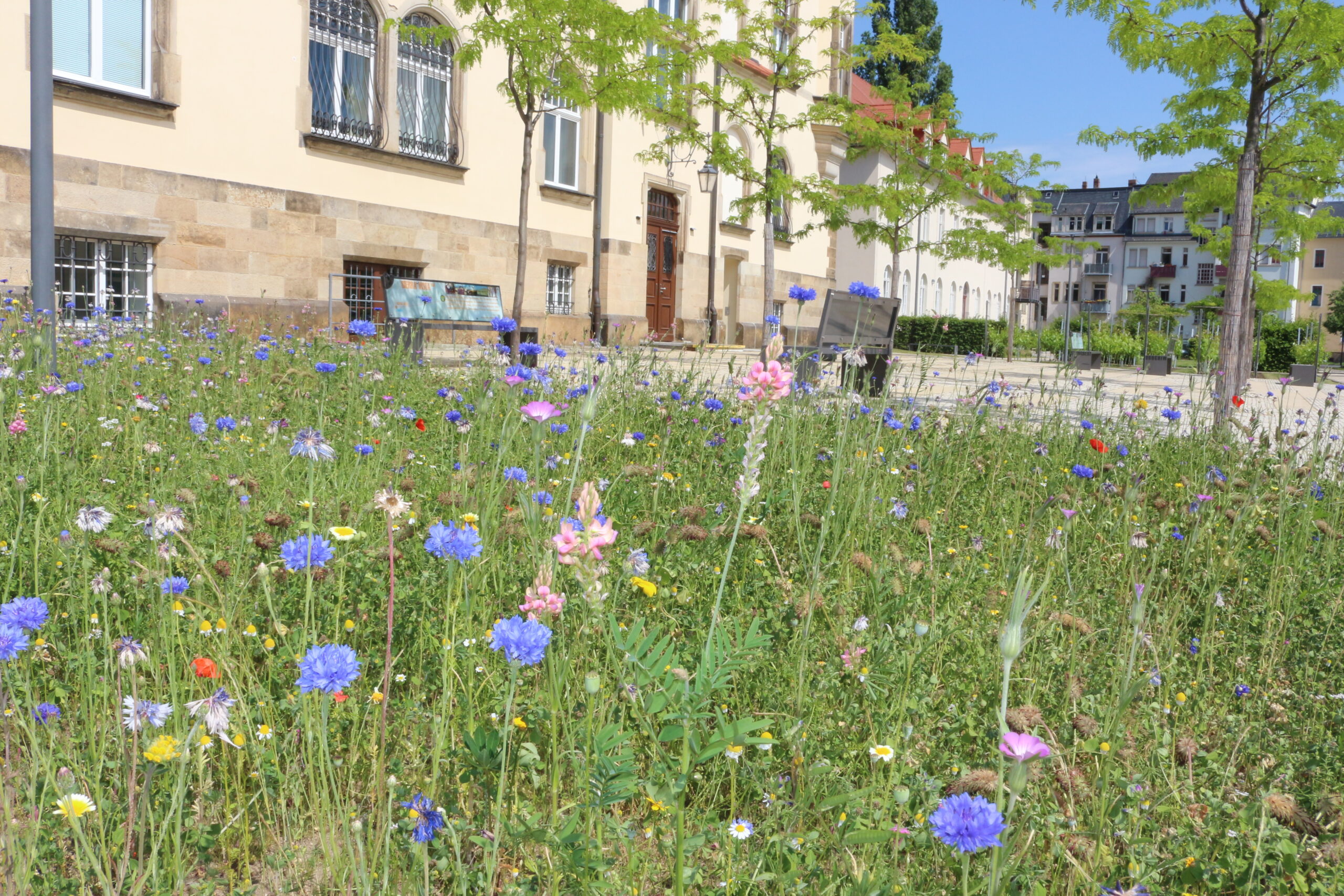 Foto © Stadtverwaltung Radebeul