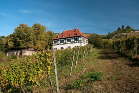 Foto © Stadtverwaltung Radebeul