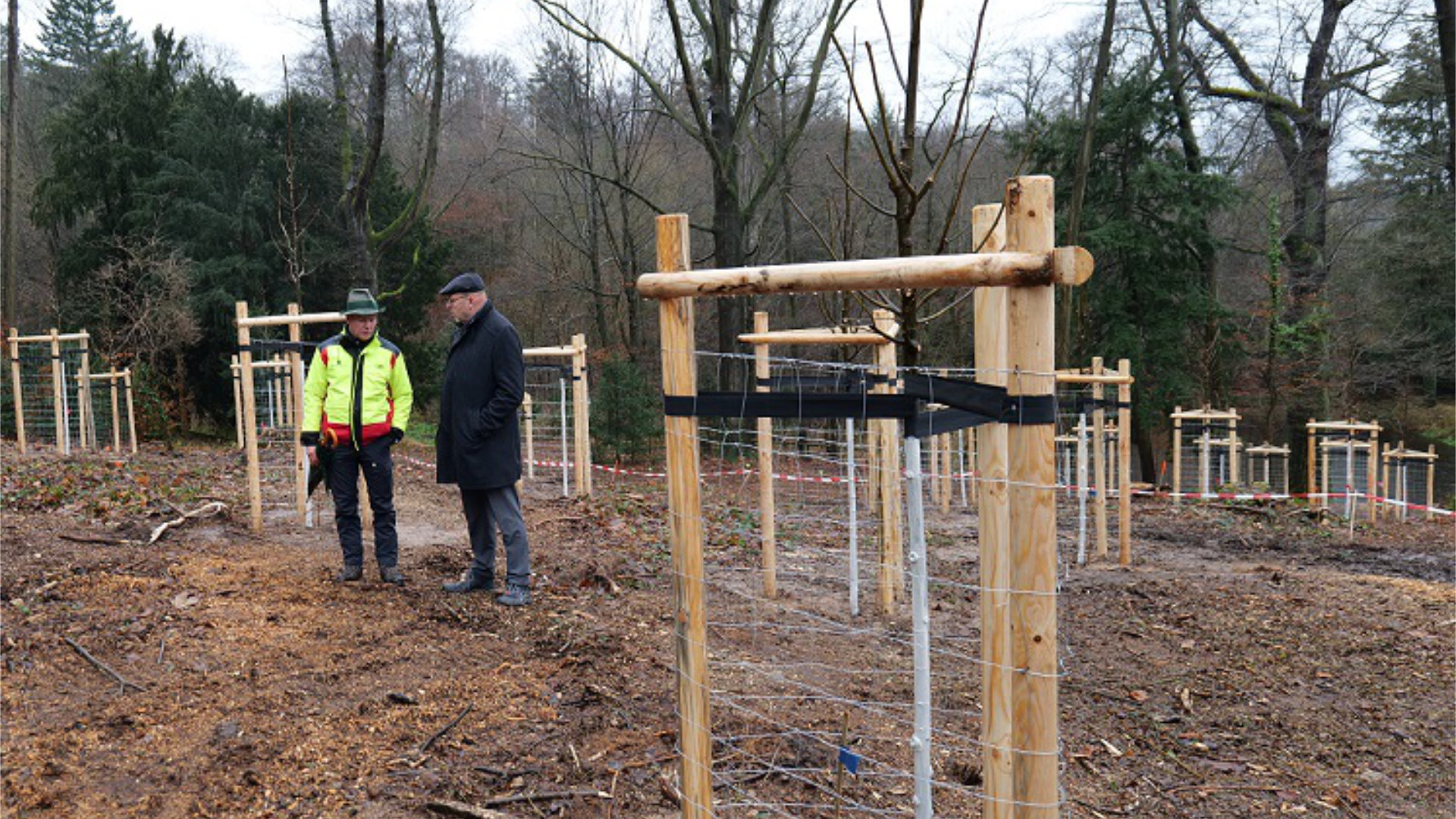 Revierförster Thomas Nikol im Gespräch mit OB Olaf Raschke Gepflanzte Bäume im Rahmen des Modellprojekts Klima-Baumhain am Standort Park Siebeneichen in Meißen im Dezember 2024