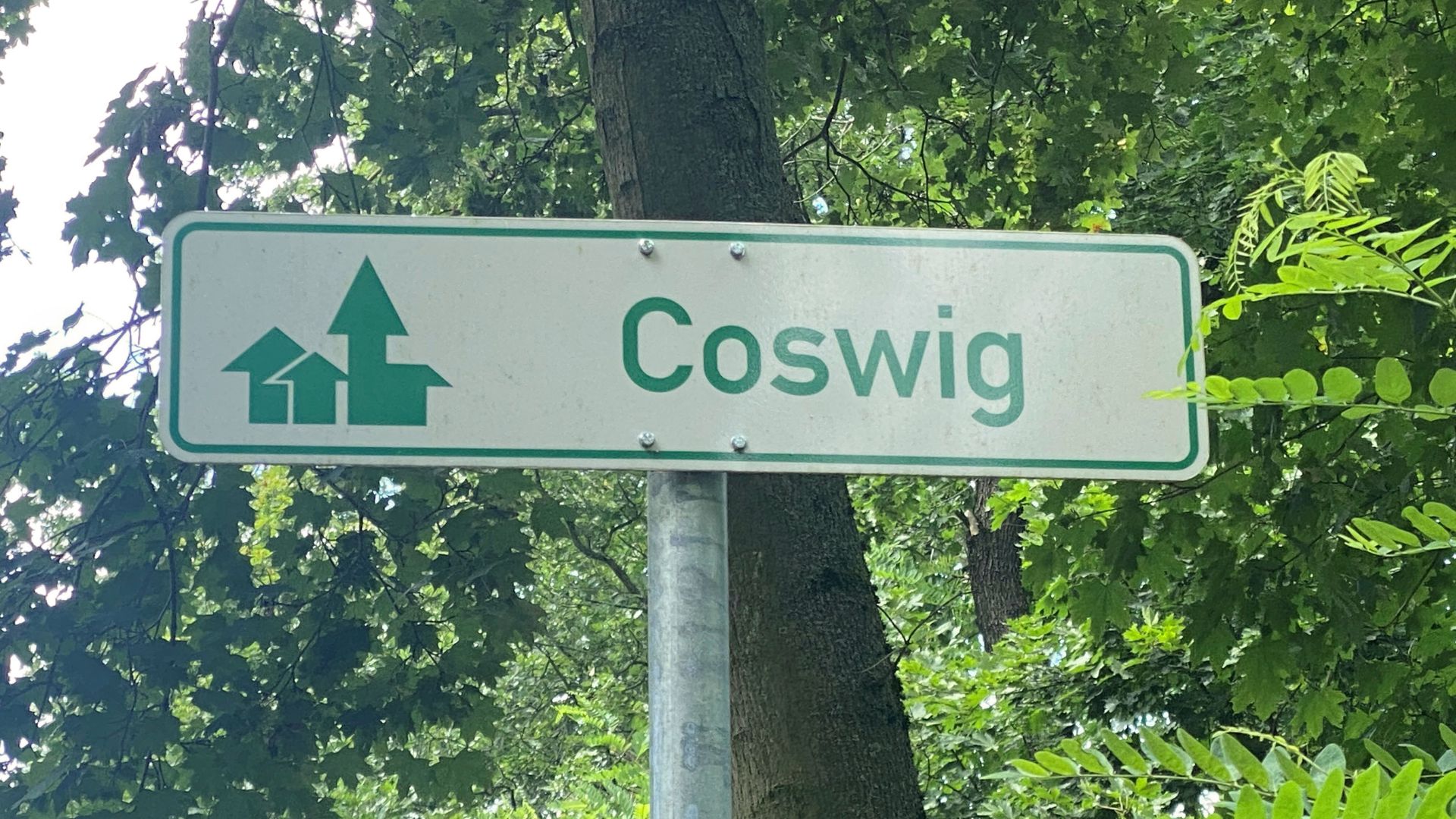 Radwegweisung in Coswig