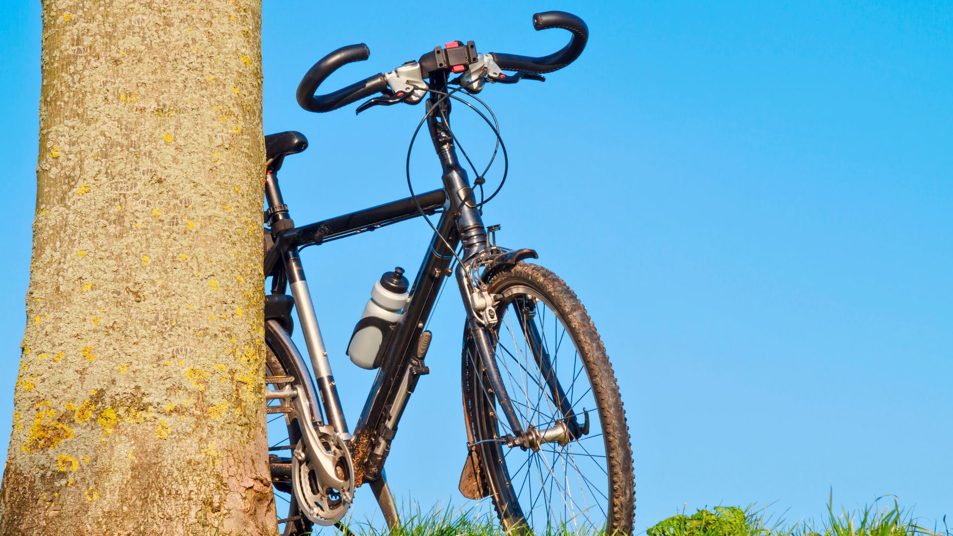 Fahrrad lehnt an einem Baum an einem Sommerlichen Tag Trekkingbike Sport