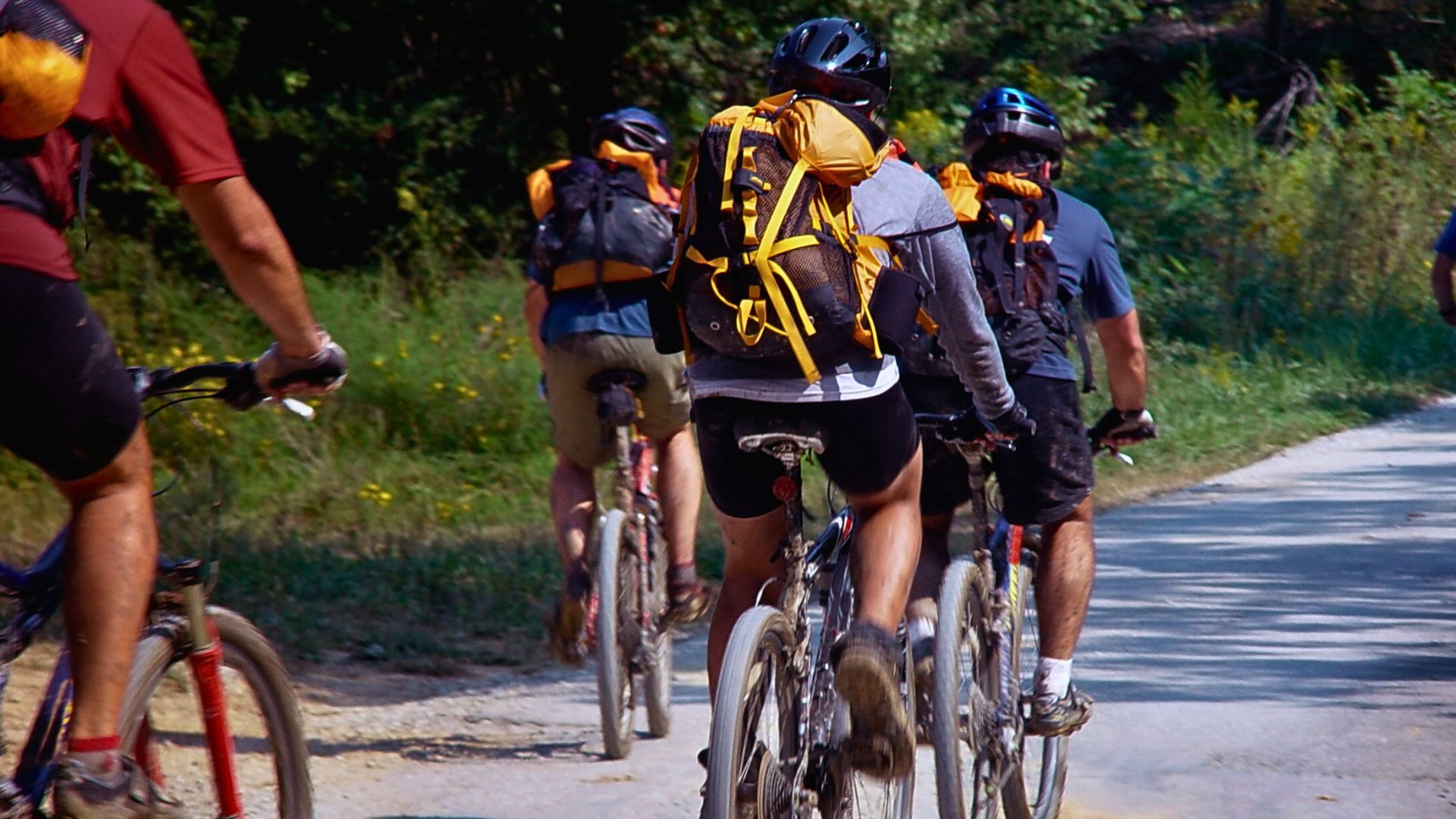 Fahrradtour auf einem Radweg an einem sommerlichen Tag