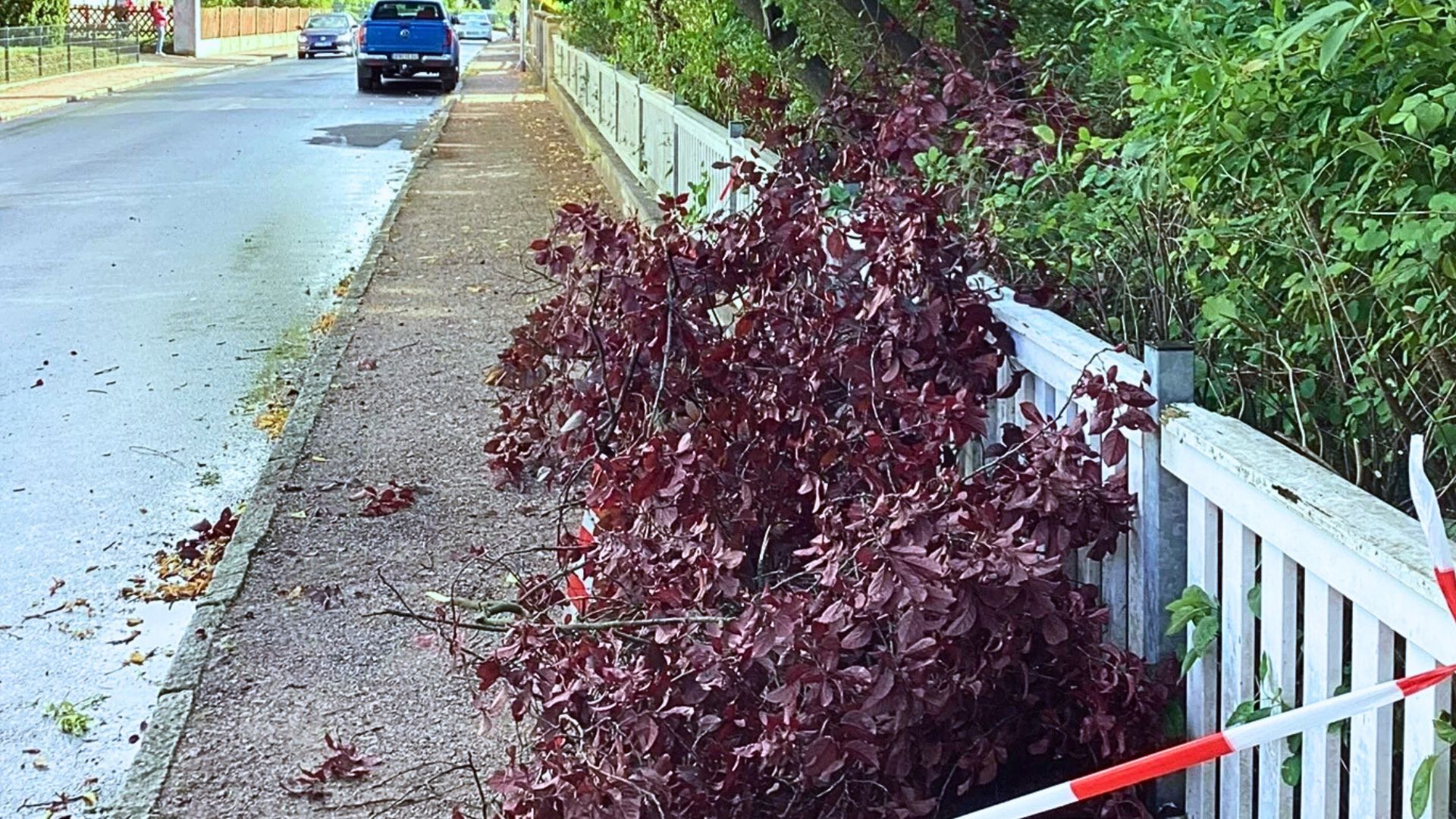 Sturmschaden abgeknickter Baum über einen Gartenzaun in Coswig