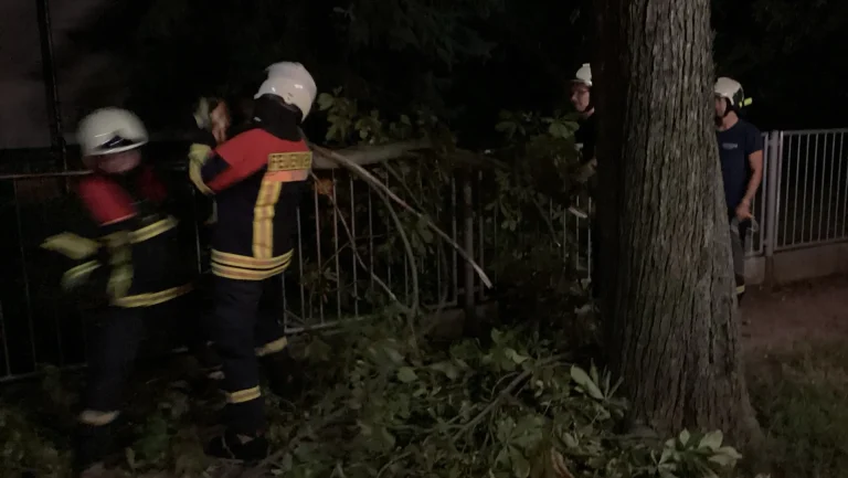 Astbruch Feuerwehreinsatz Coswig, Kastanienstrasse Nacht