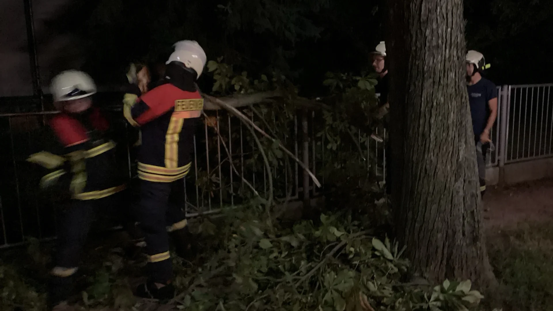 Astbruch Feuerwehreinsatz Coswig, Kastanienstrasse Nacht