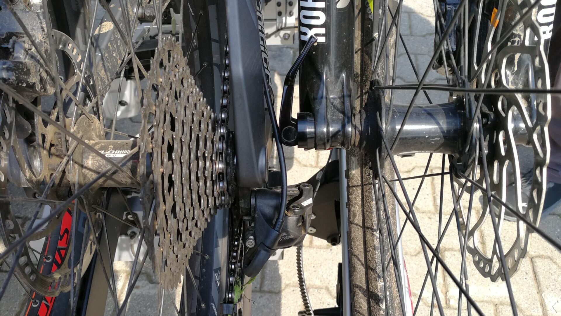 E-Bikes sind weiterhin im Fokus der Täter.