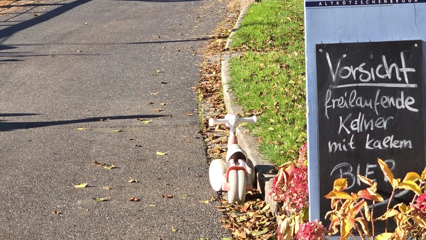 Die Uferstraße in Radebeul ist viel zu eng als Straße. Das Dampfschiff nimmt`s mit Humor.