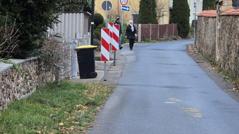 Die Anwohner sollen ihre Tonnen zu Sammelstellen bringen, weil der Entsorger sparen will.