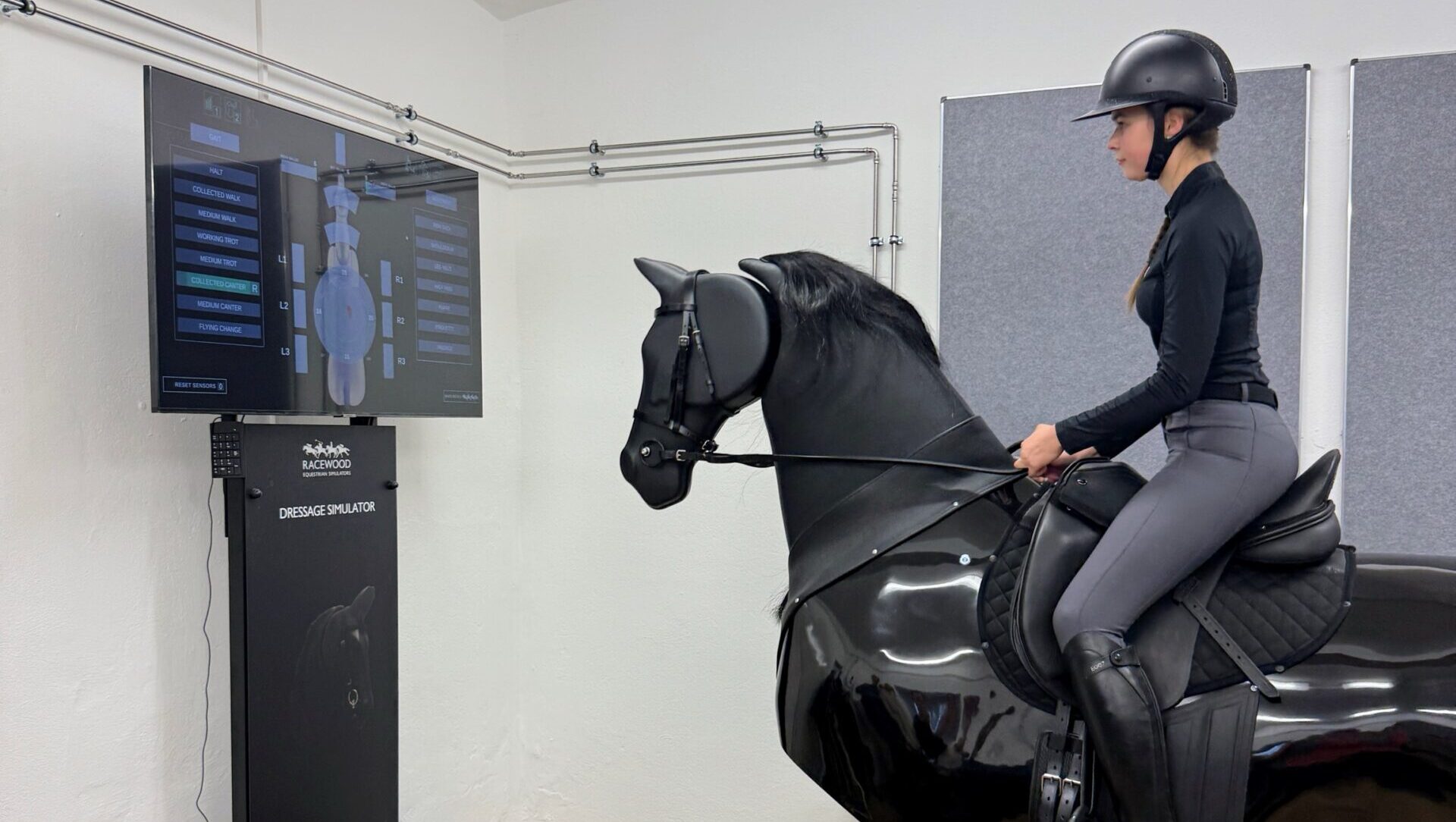 Reitsimulator Berufsschule Altroßthal Dresden