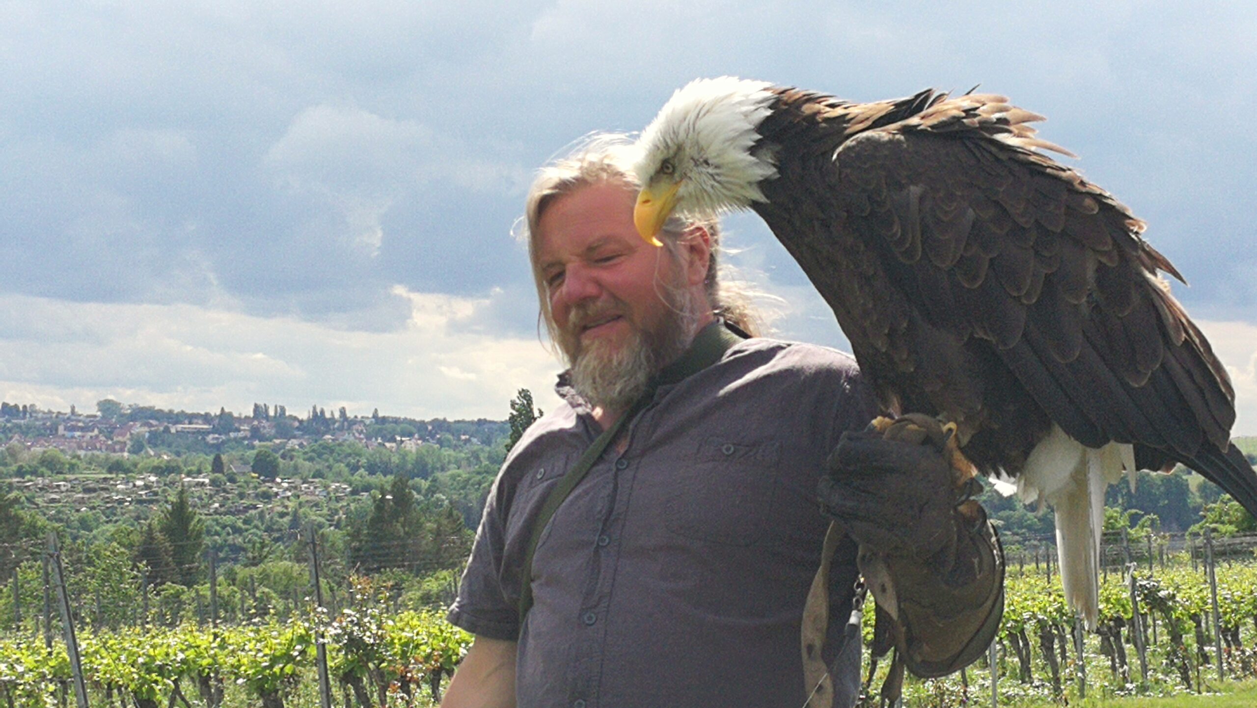 Falkner Hans-Peter Schaaf mit seinem Weißkopfadler.