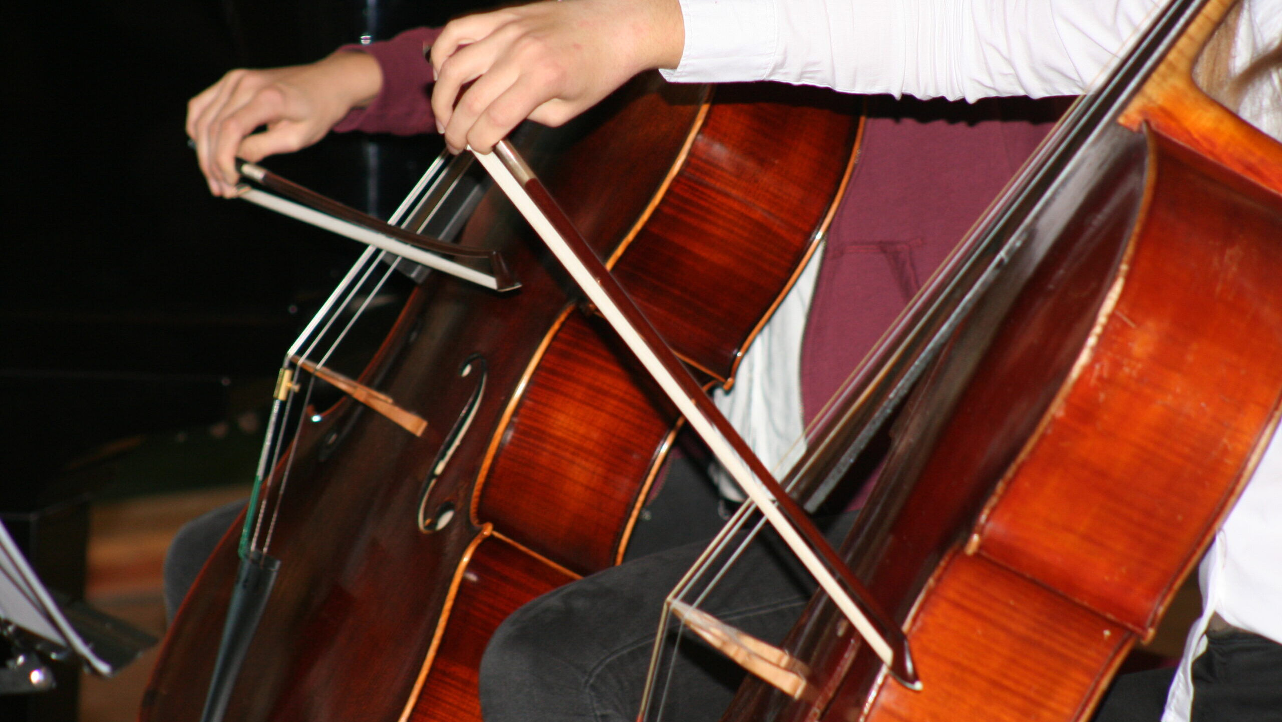 Die Musikschule Coswig lädt wieder zu einem besinnlichen Weihnachtskonzert.