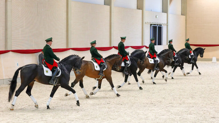Das Dressursextett zur Hengstpräsentation. Foto: © Brit Placek