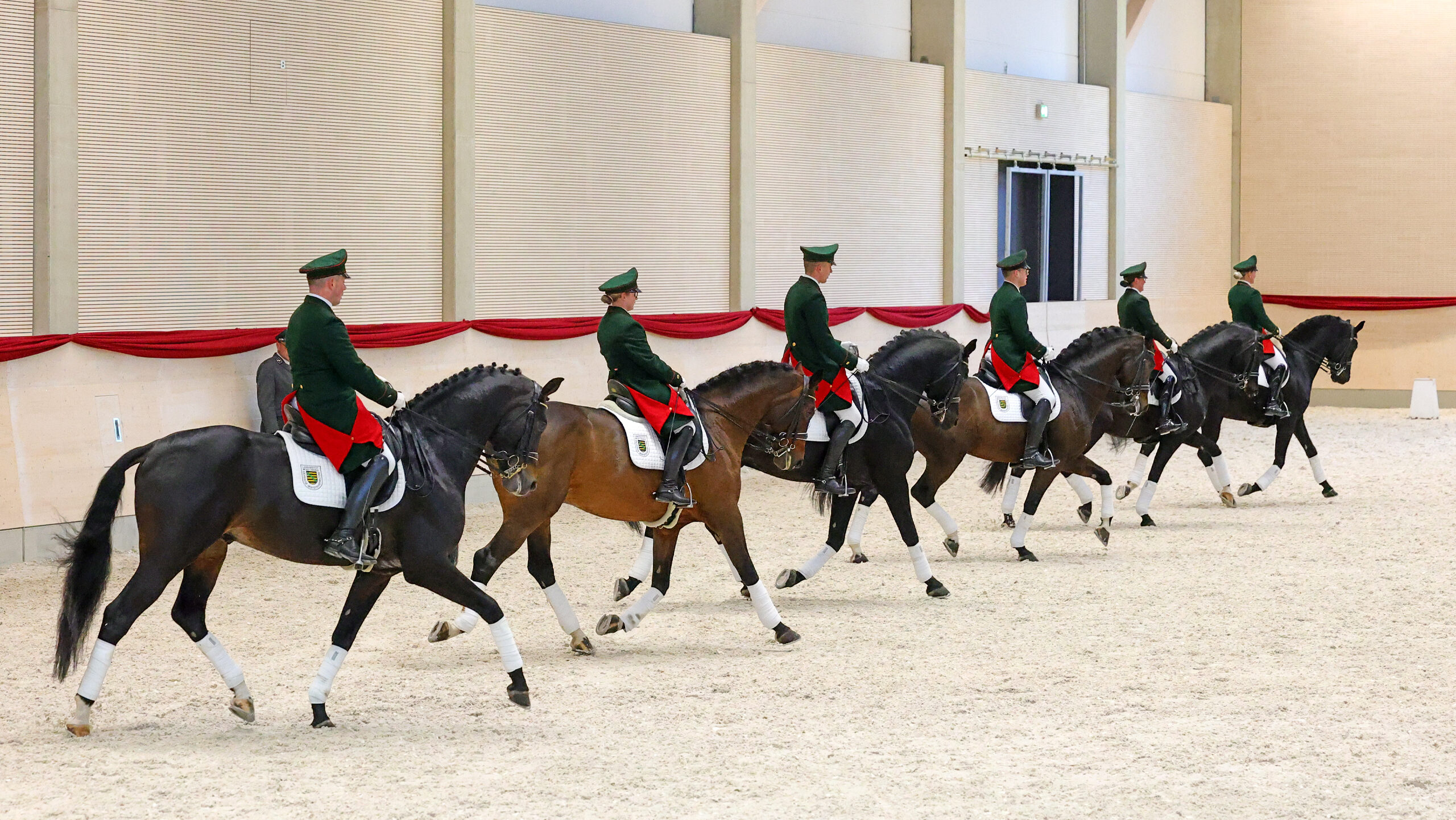 Das Dressursextett zur Hengstpräsentation. Foto: © Brit Placek
