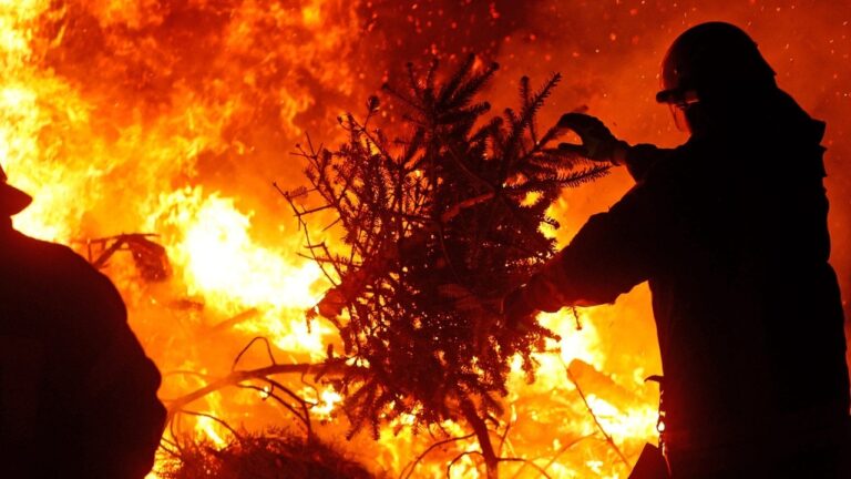 Morgen ist Weihnachtsbaum-Verbrennen auf dem Parkplatz am Badesee Kötitz. Foto: Stadt Coswig