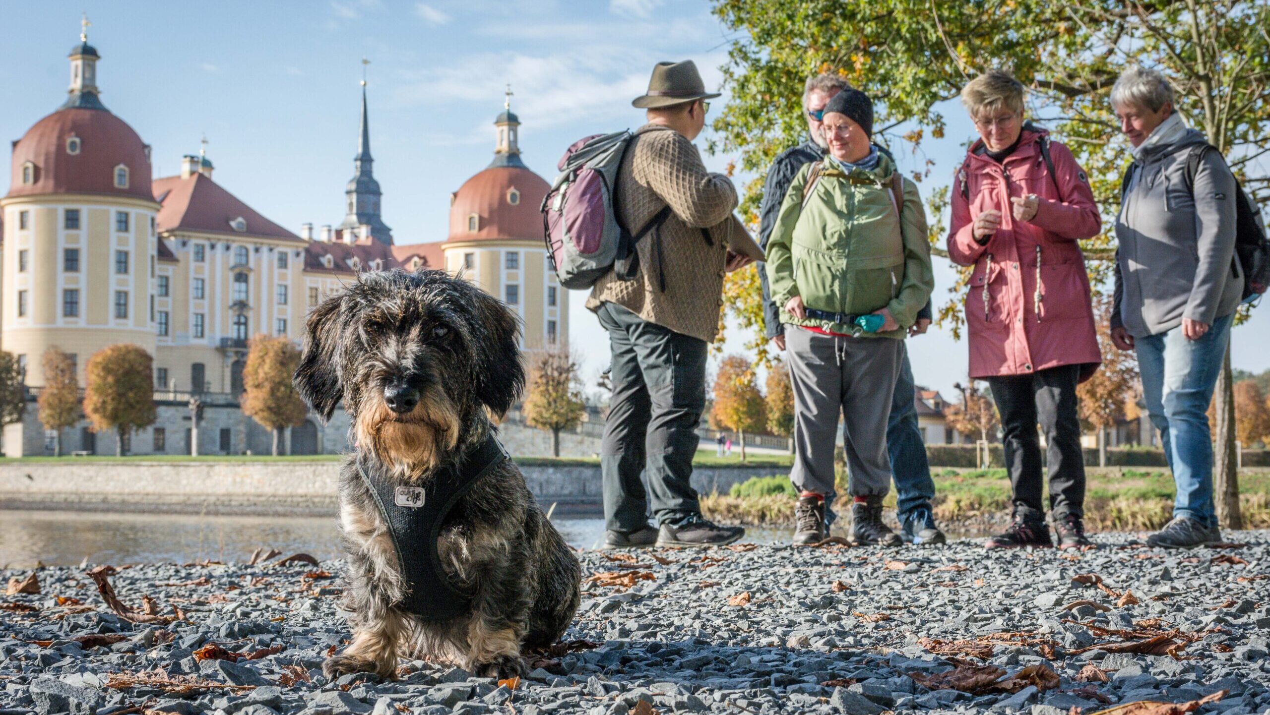 Heimlicher Star der Touren ist Dackeldame Rosalie. Foto © Michael Sperl