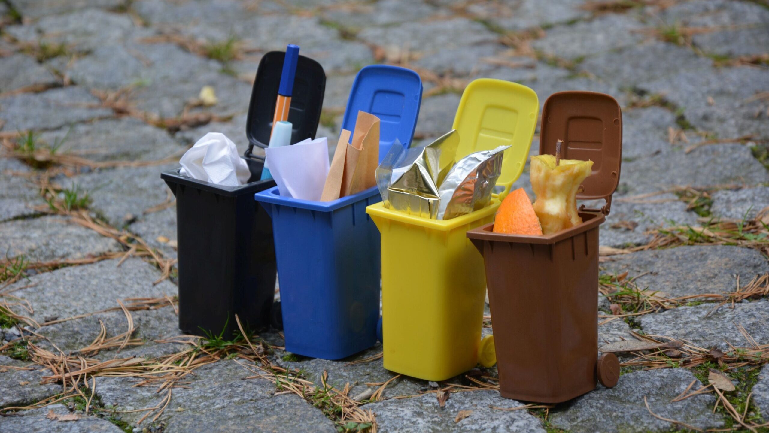 Was nicht in die Tonne gehört, nimmt oft die mobile Schadstoffsammlung mit. Foto: © LfULG