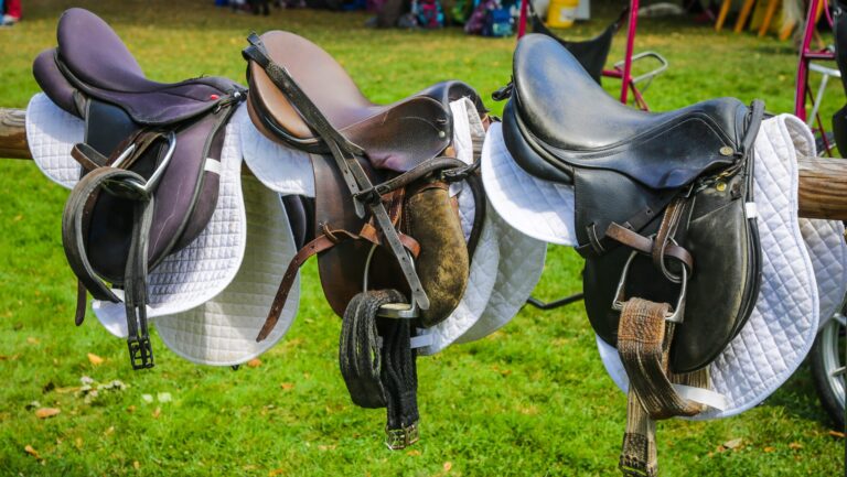 Sättel im Wert von mehreren Tausend Euro aus Halle in Sörnewitz. Foto © pixabay