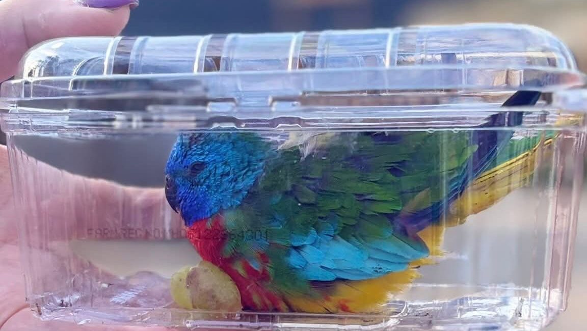 Das Tierheim Gröbern hat eine Suchmeldung. Foto © Tierheim Gröbern