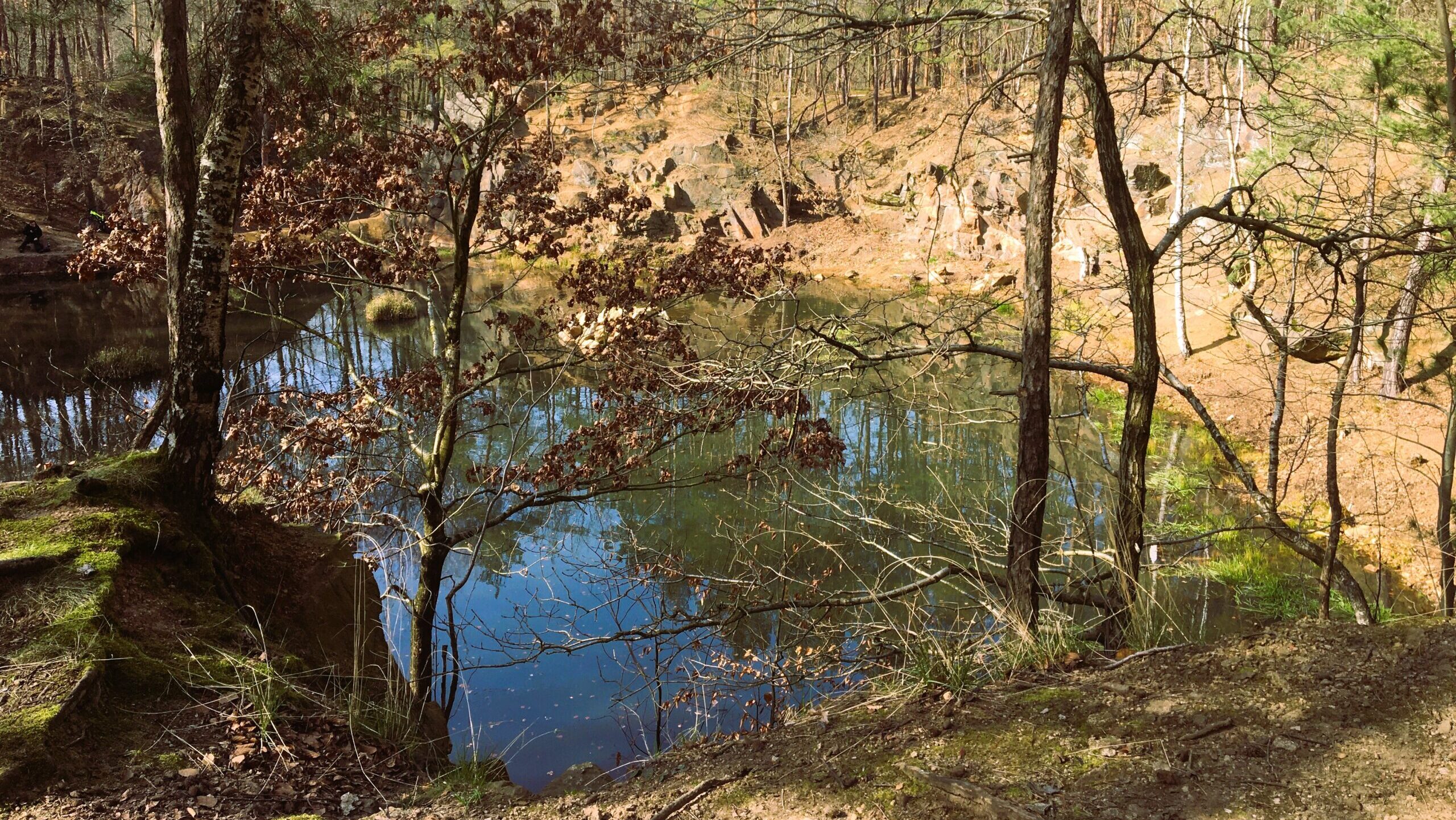 Frühjahrsputz im Friedewald, auch am Seerosenteich. Foto © Stadt Coswig