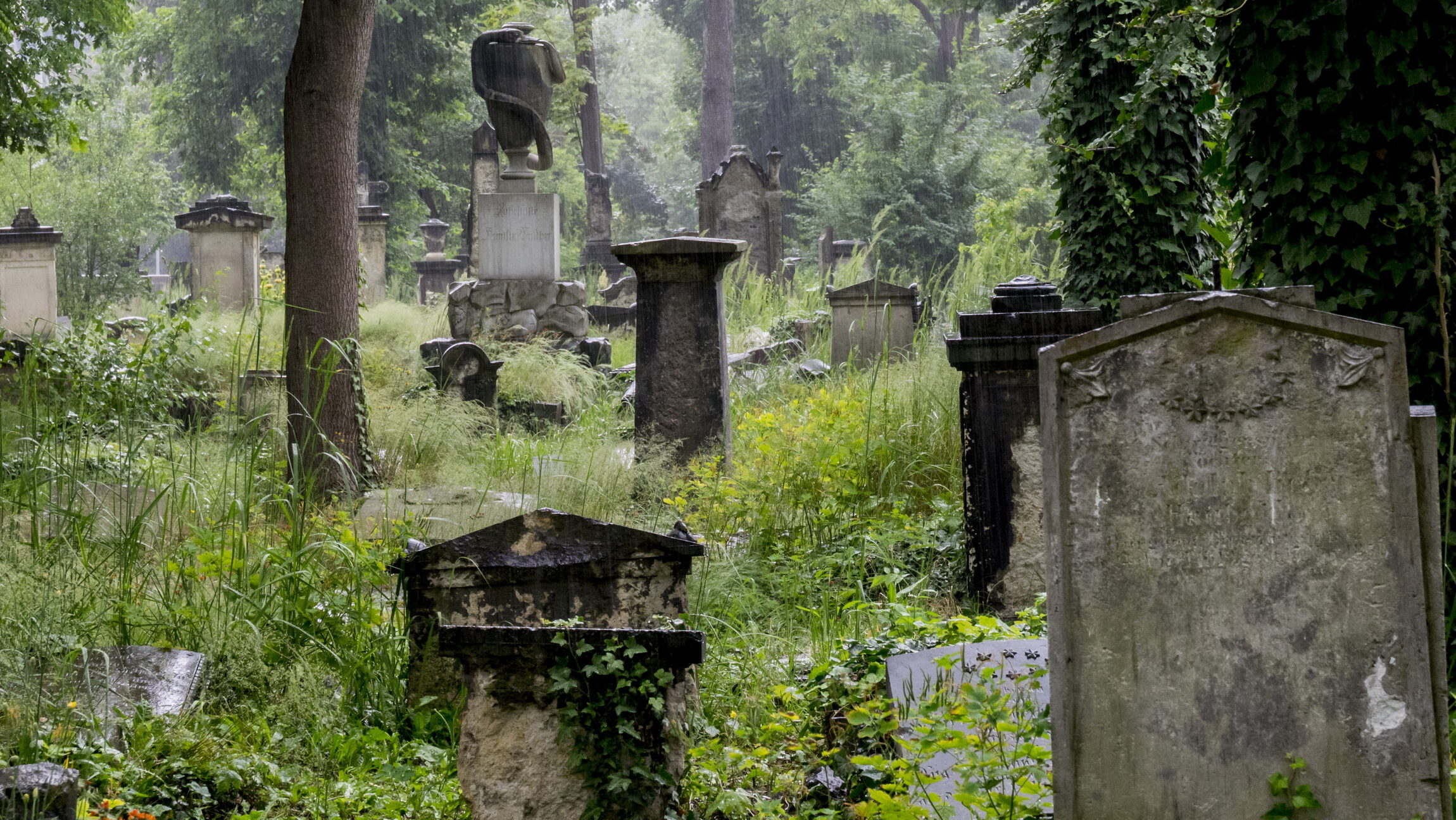Auf dem Heidefriedhof Dresden wurden 49 unbekannte Kriegsgräber entdeckt. Symbolfoto: © Archiv