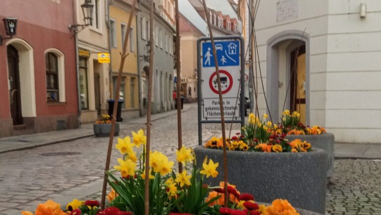 Meißen entwickelt neue Regeln für Außengastronomie, Werbung und Sondernutzungen in der Altstadt. Foto © Archiv