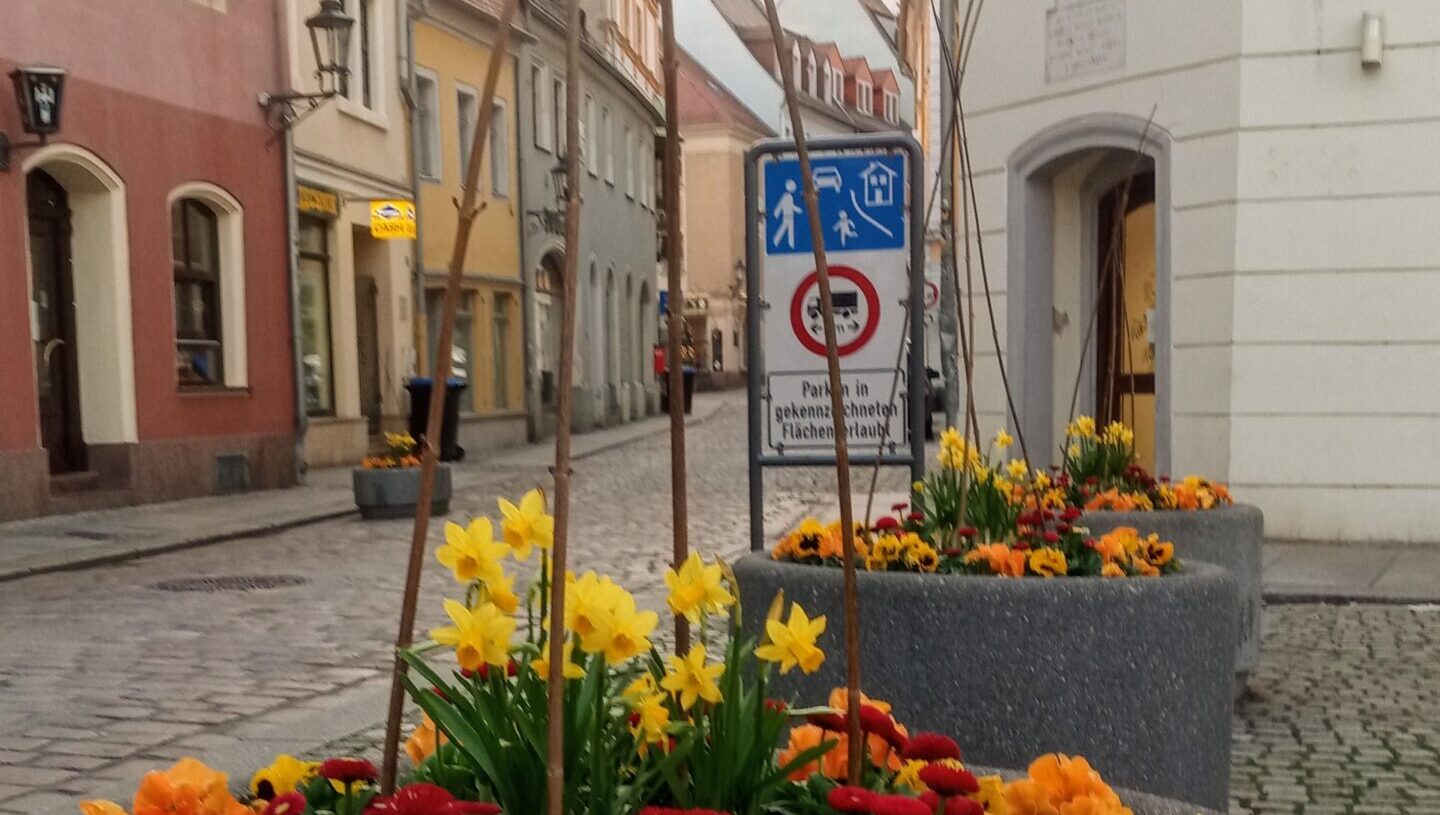 Meißen entwickelt neue Regeln für Außengastronomie, Werbung und Sondernutzungen in der Altstadt. Foto © Archiv