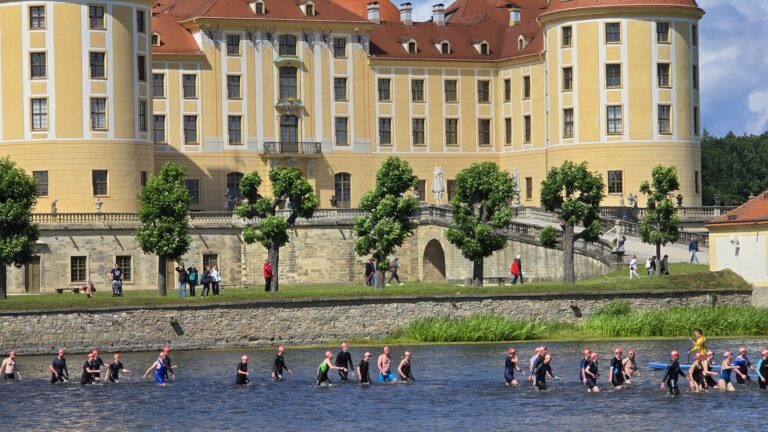 Eher Laufen als Schwimmen war im letzten Drittel des Schlossteiches angesagt. Er müsste dringend entschlammt werden. Foto © Branczeisz