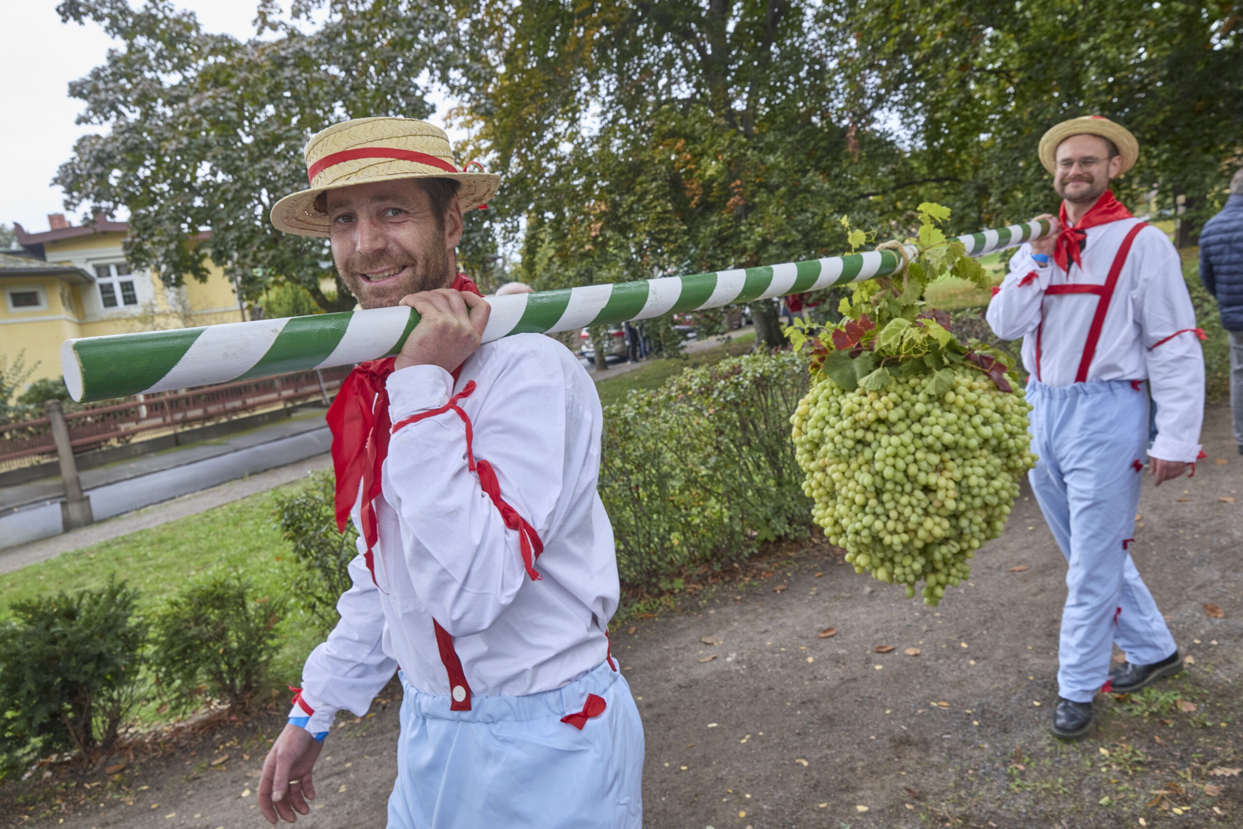 Am 3. Oktober zieht der erste größere Winzerzug seit 2015 durch die Oberlößnitz. Vereine, Festwagen und historische Traktoren sorgen für ein buntes Bürgerfest. Foto © Hoflößnitz