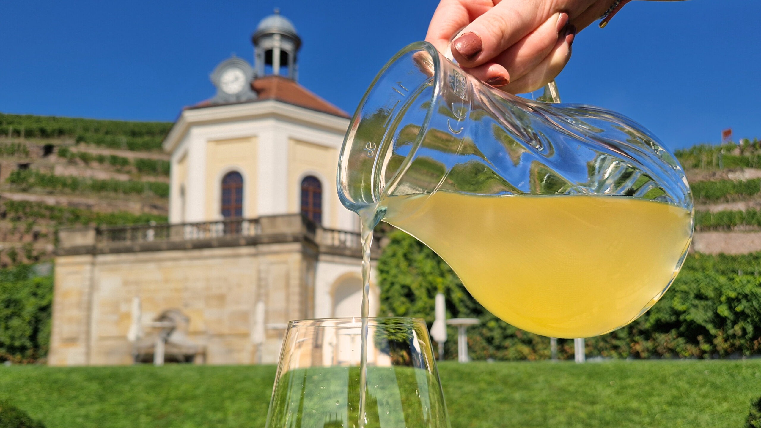 Federweißer, Live-Musik und Weinberg-Flair: Schloss Wackerbarth lädt am 12. und 13. September 2026 zum Federweißerfest. Foto © Uwe Jacobshagen