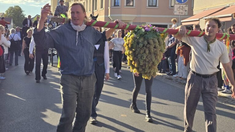 Die bis zu 45 Kilogramm schwere Riesentraube besteht aus zahlreichen einzelnen Weintrauben, die von Hand zu einem großen Gebinde zusammengefügt werden. Die Kalebstraube ist seit vielen Jahren fester Bestandteil des Radebeuler Weinfestes. Sie steht als Symbol für Fruchtbarkeit, eine gute Ernte und die Verbundenheit mit dem Weinbau.