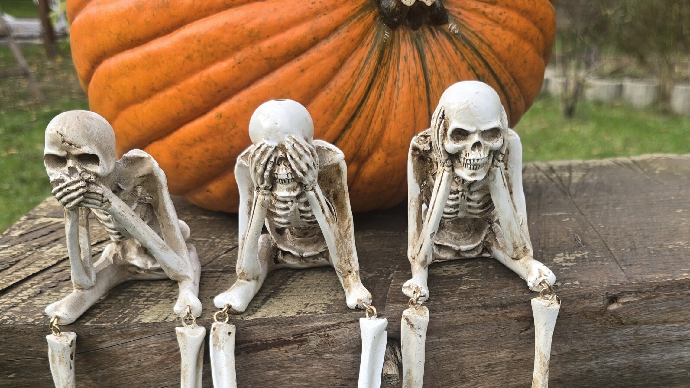 Halloween an der Uferstraße in Radebeul: Nancy Pfanne verteilt Gruselstimmung und Halloween-Tütchen. Doch vor den Süßigkeiten wartet ein kleiner Test! Foto © Nancy Pfanne