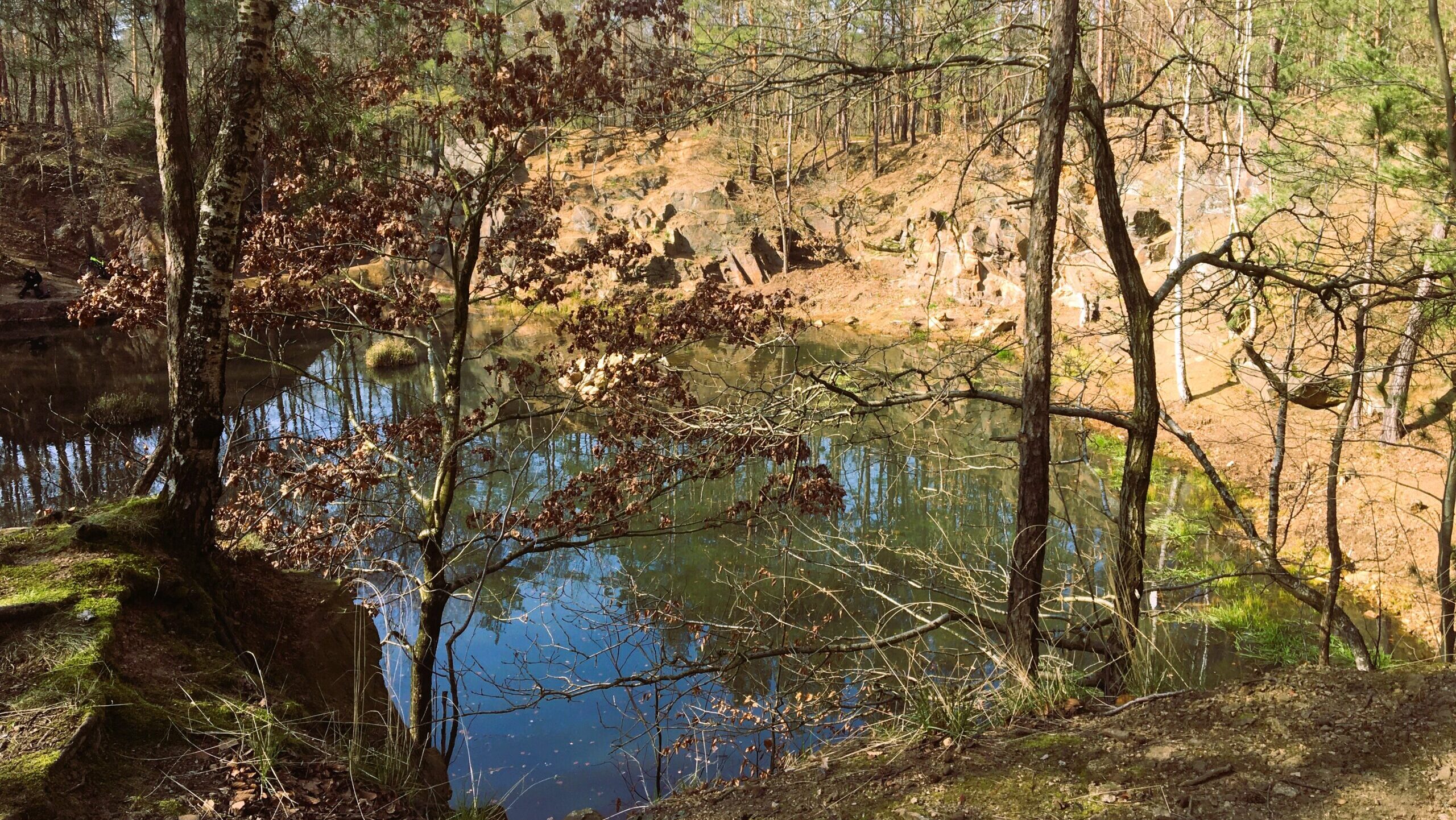 Am 3. Oktober startet die Herbst-Reinigungsaktion im Friedewald. Freiwillige räumen gemeinsam zwischen Spitzgrund und Seerosenteich auf. Foto © Coswig